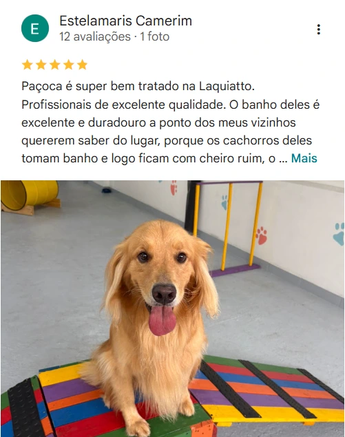 Avaliação real de tutor no Google