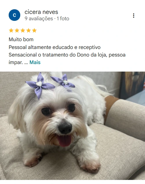 Avaliação real de tutor no Google