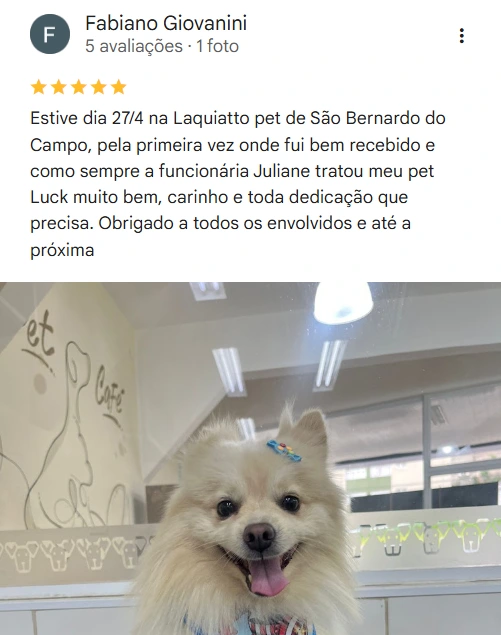 Avaliação real de tutor no Google