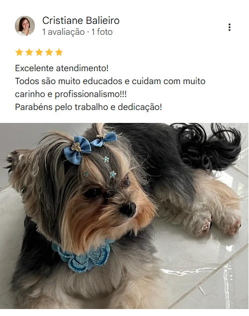 Avaliação real de tutor no Google