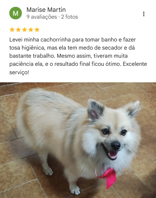 Avaliação real de tutor no Google